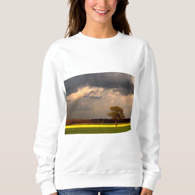 Landscape 11 sweatshirt (Front)