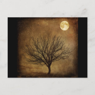 landscape-680226 DARK BROWN BACKGROUND BLACK TREE  Postcard