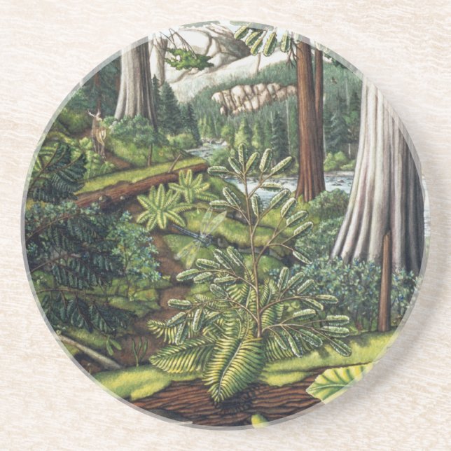 Landscape Art Coaster Old Growth Forest Coasters (Front)