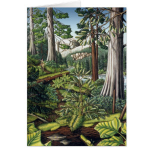 Landscape Art Print Blank Card - BC Forest Cards