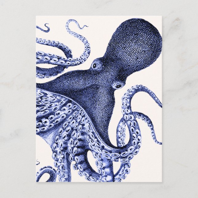 Landscape Blue Octopus Postcard (Front)