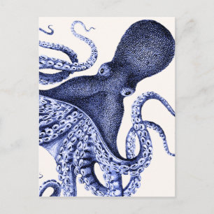 Landscape Blue Octopus Postcard