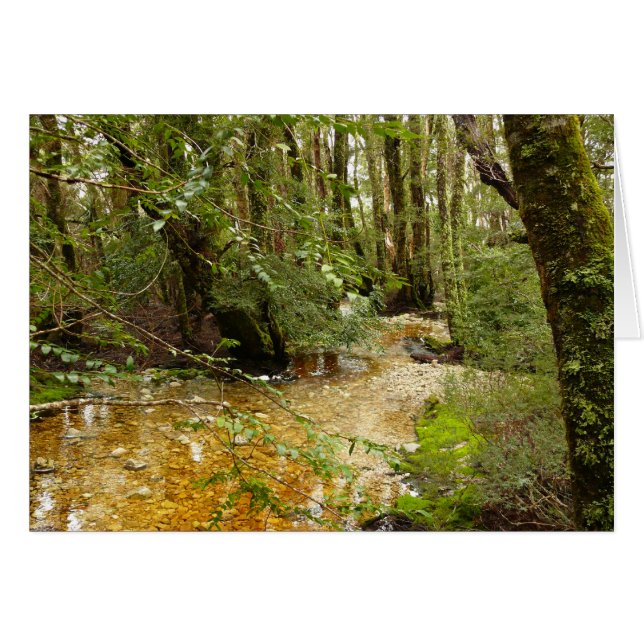 Landscape cards, Ballroom Forest Cradle Mountain (Front Horizontal)