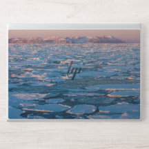 Landscape ice sea view