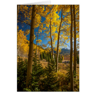 Landscape in San Juan Mountains