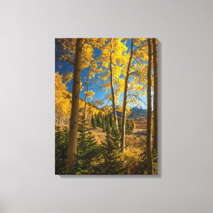 Landscape in San Juan Mountains Canvas Print