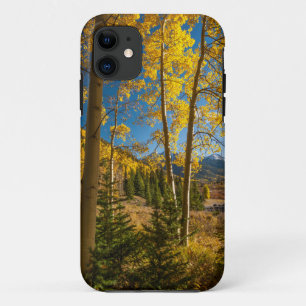 Landscape in San Juan Mountains iPhone 11 Case