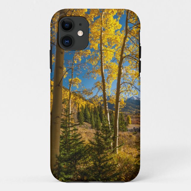 Landscape in San Juan Mountains Case-Mate iPhone Case (Back)