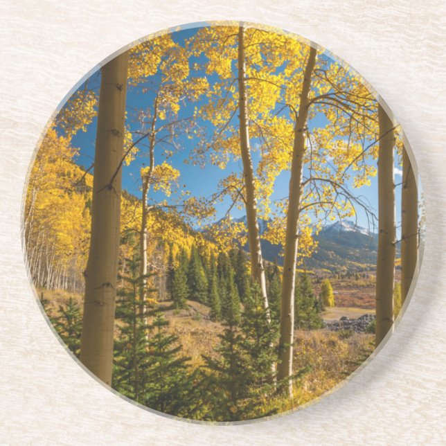 Landscape in San Juan Mountains Coaster (Front)