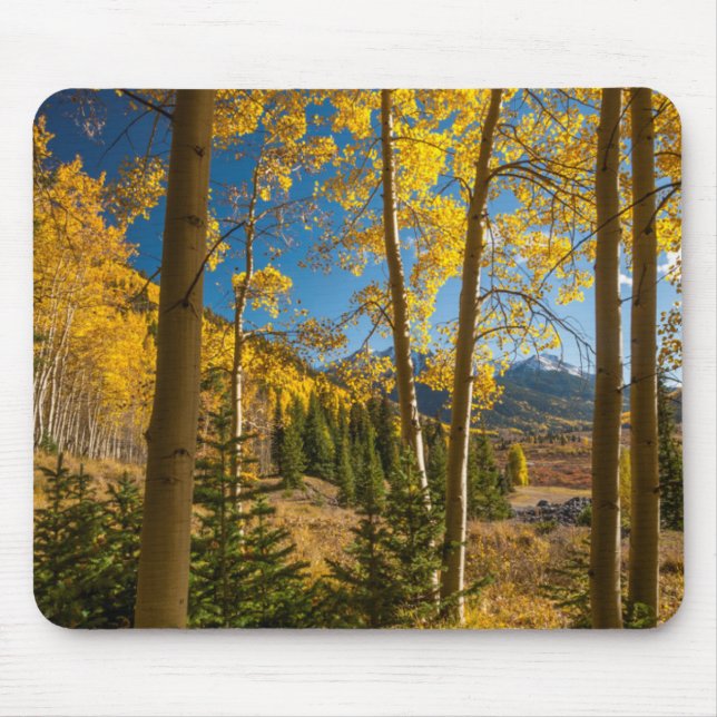 Landscape in San Juan Mountains Mouse Mat (Front)