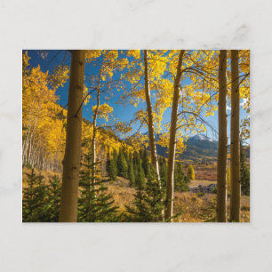 Landscape in San Juan Mountains Postcard