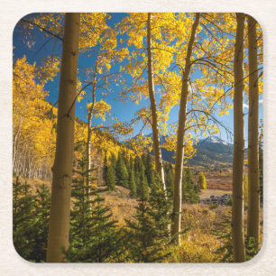 Landscape in San Juan Mountains Square Paper Coaster