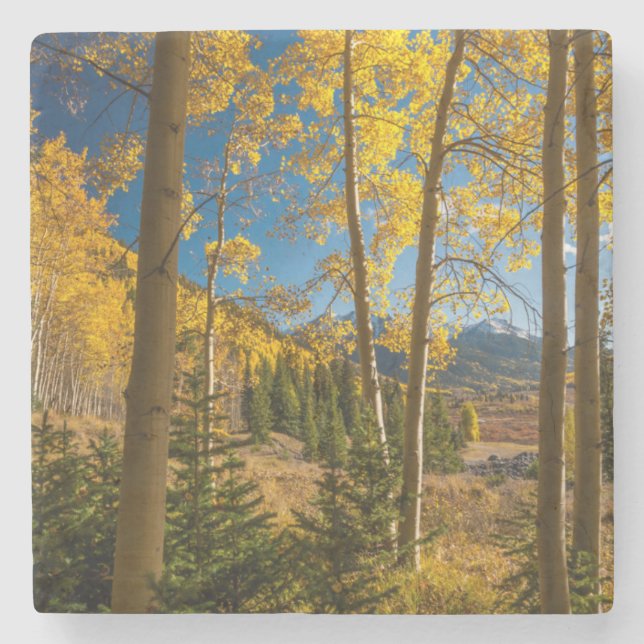 Landscape in San Juan Mountains Stone Coaster (Front)