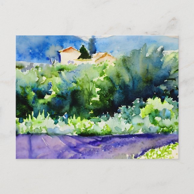 Landscape Lavender fields Postcard (Front)