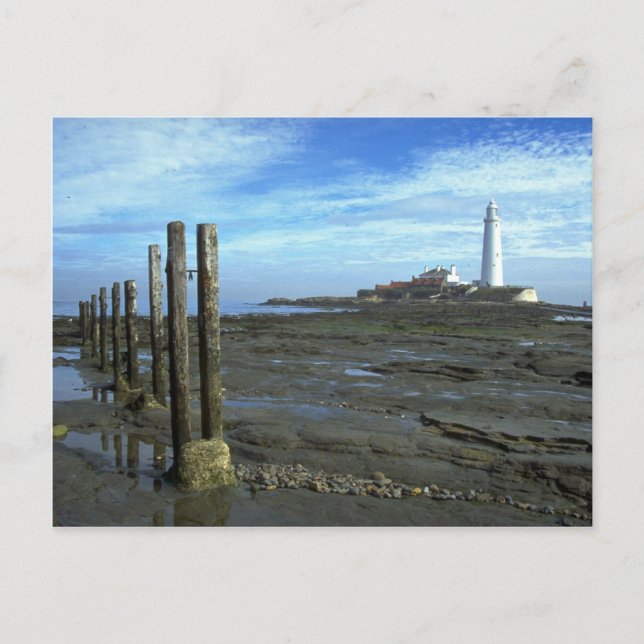 Landscape, lighthouse in background postcard (Front)
