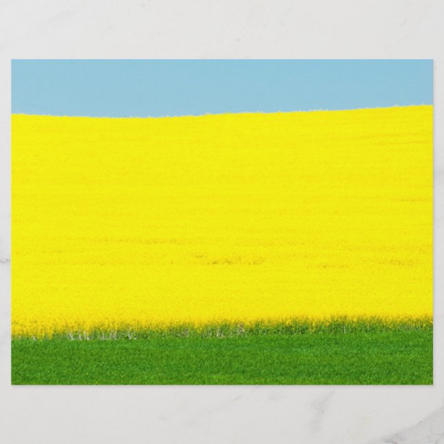 Landscape Meadow Flyer (Front)