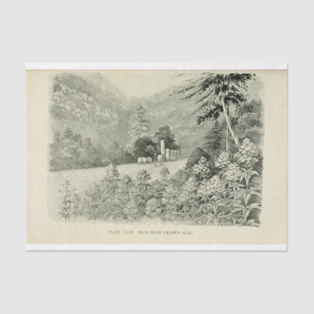 Landscape Mountain Flowers Ephemera Decoupage Tissue Paper (Front)