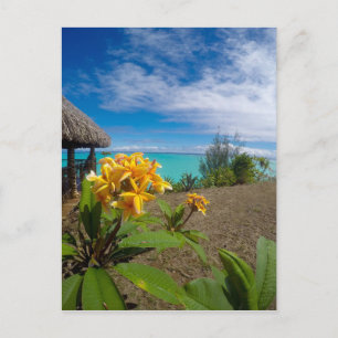 Landscape of bora bora postcard