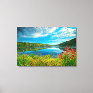 Landscape of Costello Lake Canvas Print