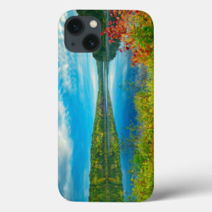 Landscape of Costello Lake iPhone 13 Case
