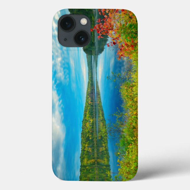Landscape of Costello Lake Case-Mate iPhone Case (Back)