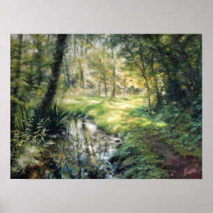 Landscape of nature in a forest with a river poster