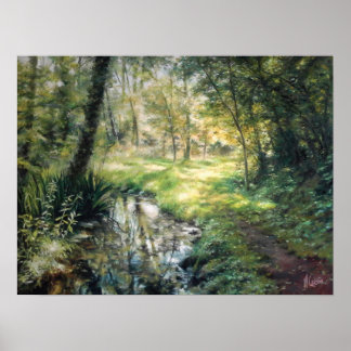 Landscape of nature in a forest with a river poster