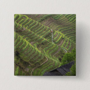 Landscape of rice terraces in the mountain, 15 cm square badge