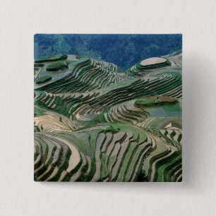 Landscape of rice terraces in the mountain, 15 cm square badge