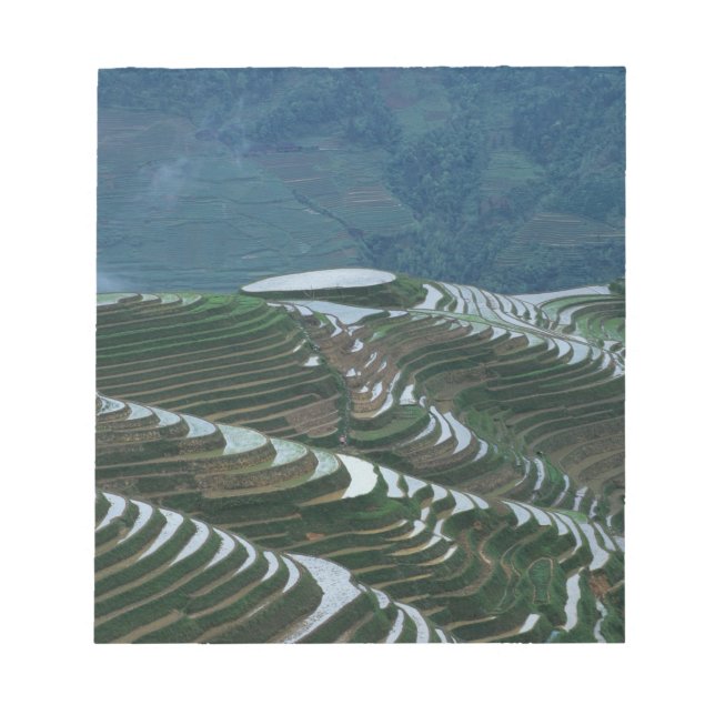 Landscape of rice terraces in the mountain, 2 notepad (Front)