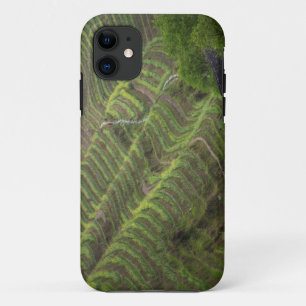 Landscape of rice terraces in the mountain, iPhone 11 case