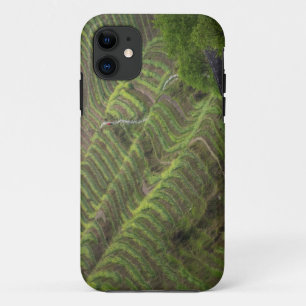 Landscape of rice terraces in the mountain, iPhone 11 case
