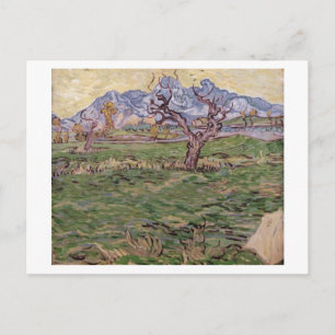 Landscape Olive Tree Mountains, Van Gogh Fine Art Postcard