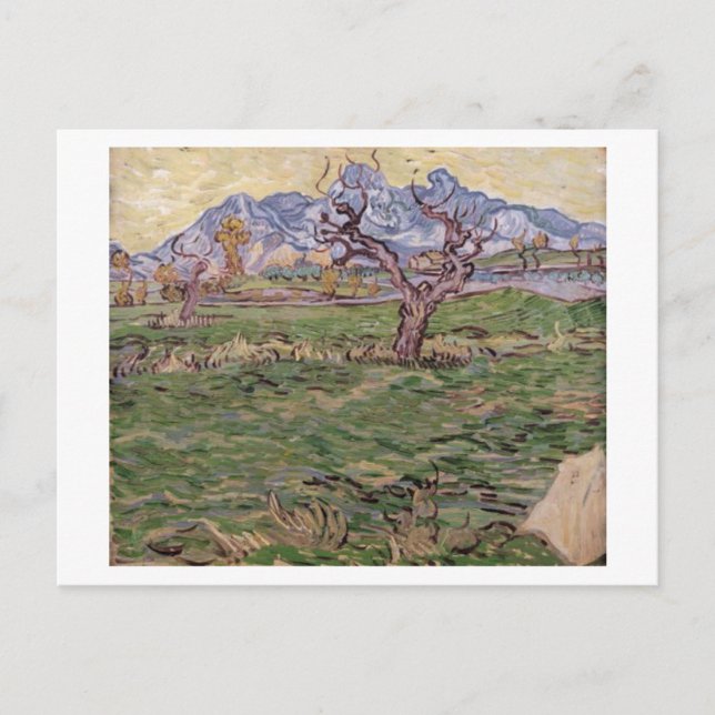 Landscape Olive Tree Mountains, Van Gogh Fine Art Postcard (Front)