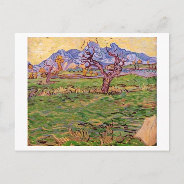 Landscape Olive Tree Mountains, Van Gogh Fine Art Postcard (Front)