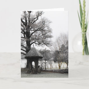 Landscape on a frosty winter morning holiday card