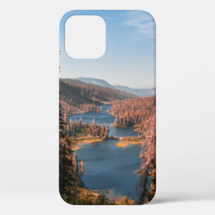 LANDSCAPE PHOTO OF TREES NEAR BODY OF WATER DURING iPhone 12 CASE