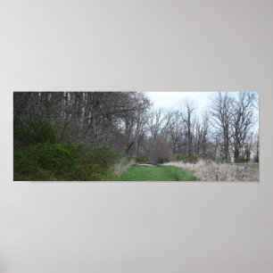 Landscape Photo Poster