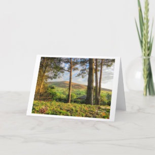 Landscape photographic  greeting cards 