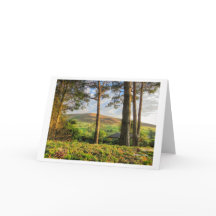 Landscape photographic greeting cards