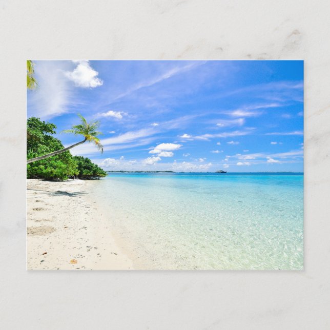 Landscape Photography of Trees on Shoreline Holiday Postcard (Front)