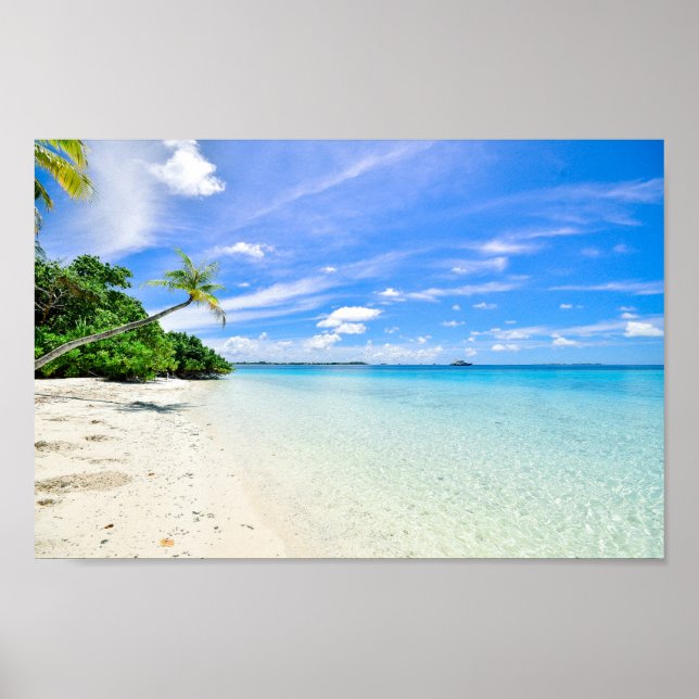 Landscape Photography of Trees on Shoreline Poster (Front)