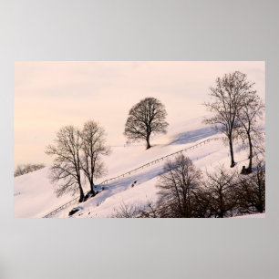 LANDSCAPE POSTER