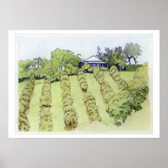 Landscape Poster (Front)