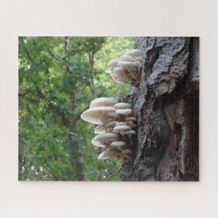 Landscape Puzzle: Beautiful Porcelain Mushrooms Jigsaw Puzzle