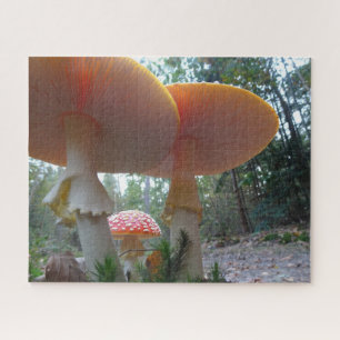 Landscape Puzzle: Fly Amanitas in Forrest  Jigsaw Puzzle