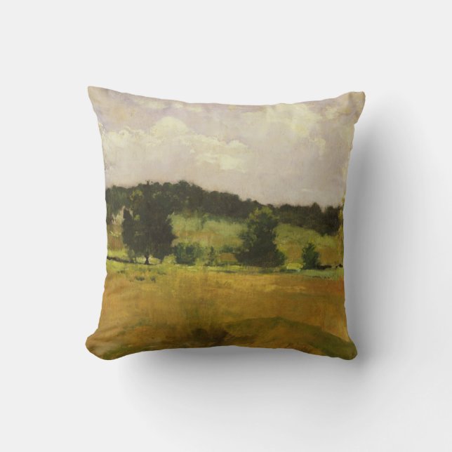 Landscape Study Cushion (Front)