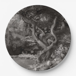 Landscape - The Forbidden Forest Paper Plate