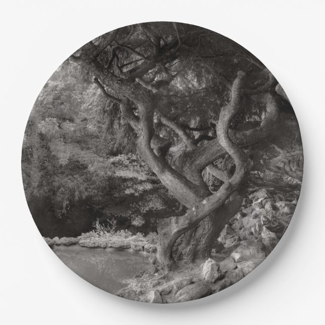 Landscape - The Forbidden Forest Paper Plate (Front)