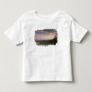 Landscape Under A Sunset Toddler T-Shirt